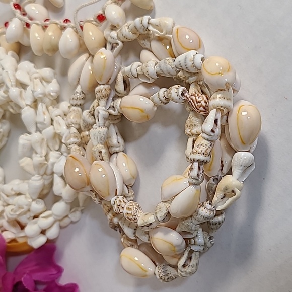 Shell Bundle - Picture 3 of 5